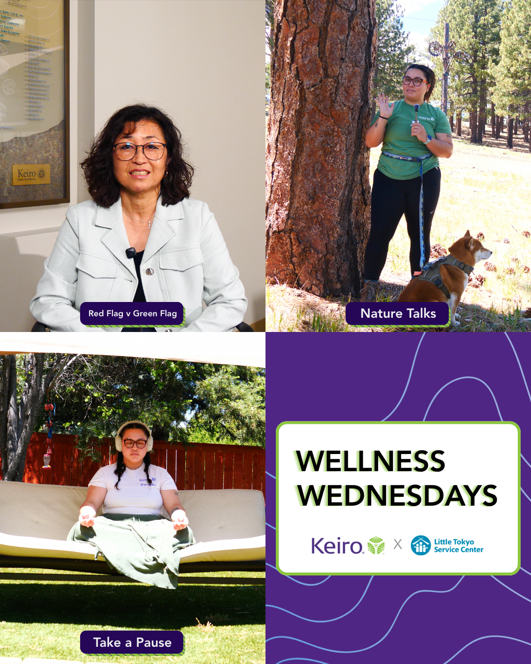 3 screenshots from wellness wednesdays