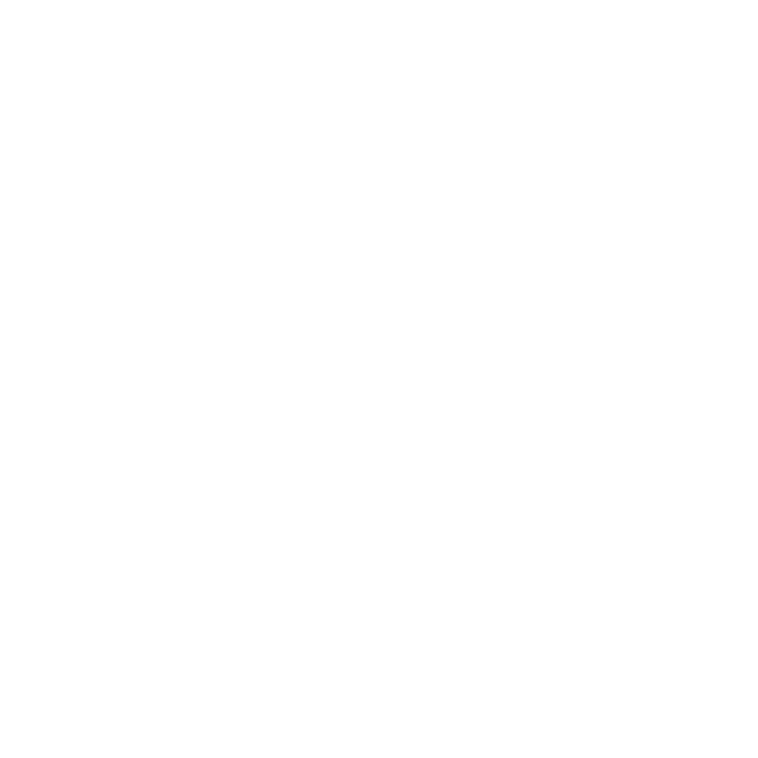 Consultation icon