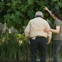 older adult and caregiver looking up into a tree