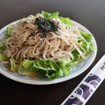 soba noodles over salad