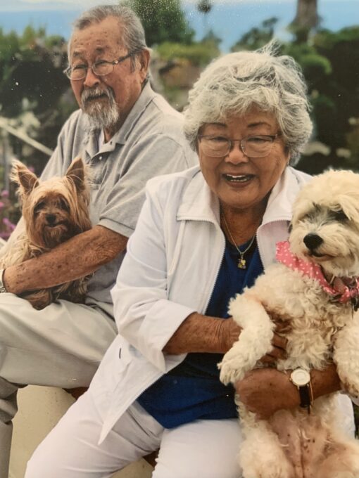 man and woman each holding a dog