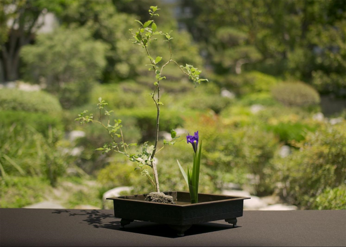 ikebana