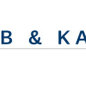 Image for Lamb & Kawakami LLP