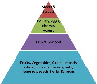 food pyramid