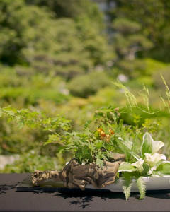 ikebana