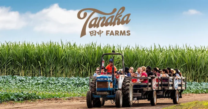 tanaka farms with tractor