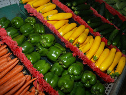 Rows of fresh vegetables