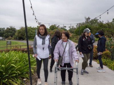 a woman in a walker walking up a sidewalk