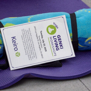 a towel and a program booklet on top of a purple yoga mat