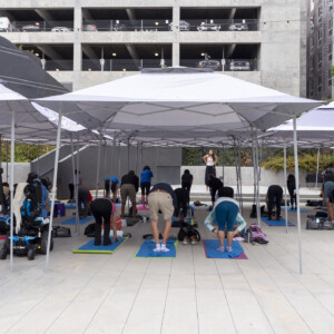 group of people doing yoga