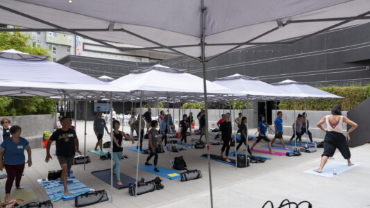 group of people doing yoga