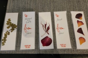 "Connections" Bookmarks made from my yard plants - Jane Kubota (89) Bookmarks