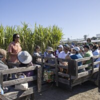a group of people on a tractor wagon