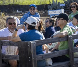 a group of people laughing on a wagon