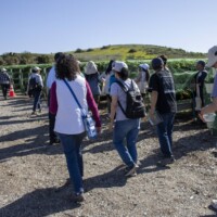 group of people walking on a farm