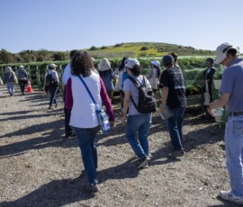 group of people walking on a farm