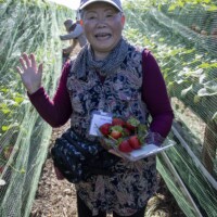 woman waving to camera with strawberries