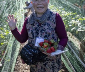 woman waving to camera with strawberries