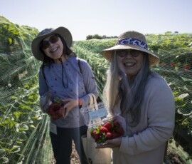 two women in sun hats with strawberries