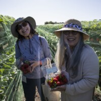 two women in sun hats with strawberries