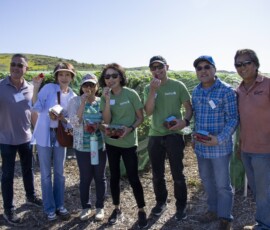 a group of people with strawberries