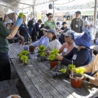 a woman holding lettuce in front of a group