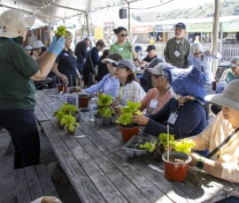 a woman holding lettuce in front of a group