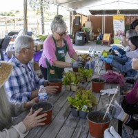 woman demonstrating how to garden in front of a group