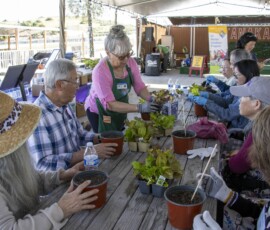 woman demonstrating how to garden in front of a group