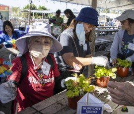 women gardening