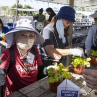 women gardening