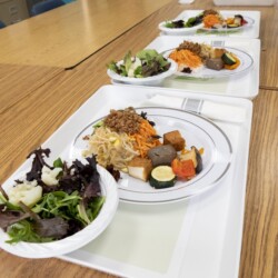 plated food on a tray