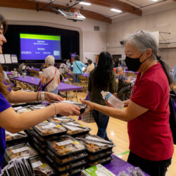 a woman in purple giving a bento to a woman in red shirt