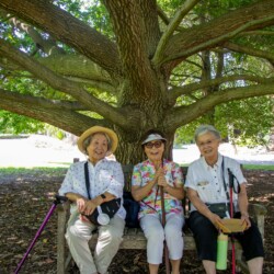 three women sitting and smiling on a bench under a tree