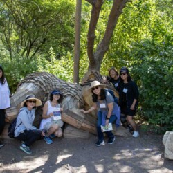 a group of women standing next to a sleeping wooden troll