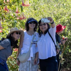 three women taking a selfie