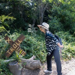 a woman looking in front of a troll crossing