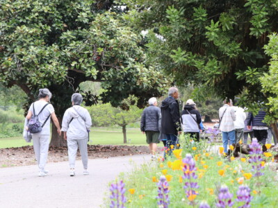 a group of people walking in a park