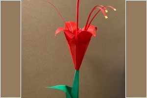 “Origami with Lisa” Collection - Pasadena Buddhist Temple