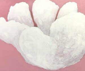 Soft White Blooming - Rick Osaka (67) Soft White Blooming