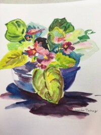 african violet - Tamiko Takagi (89) african violet