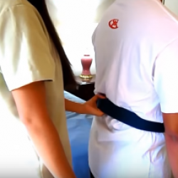 Image for Walking with a Gait Belt