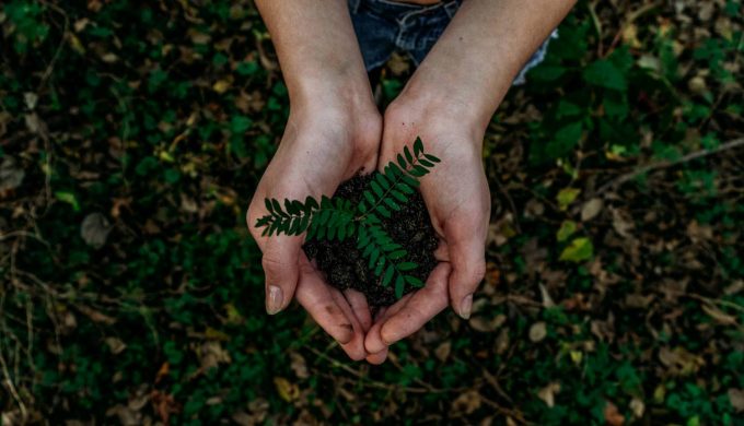 plant going green