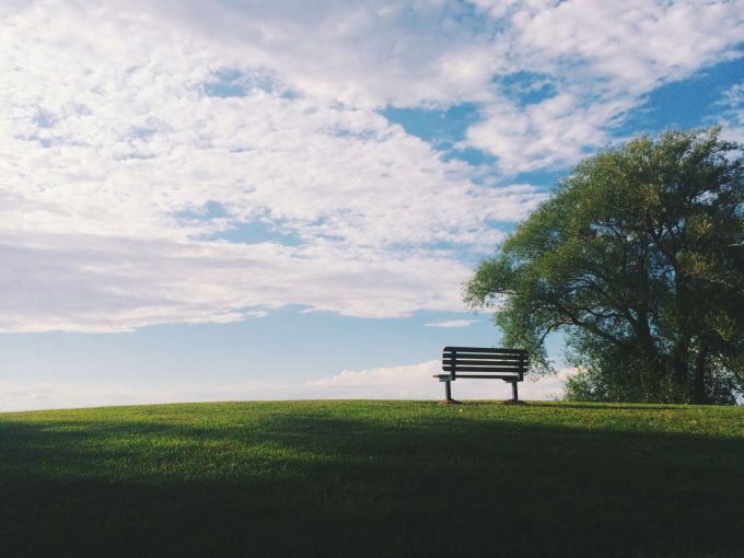 sky and tree with a bench