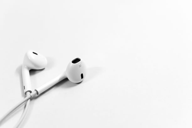 earphones