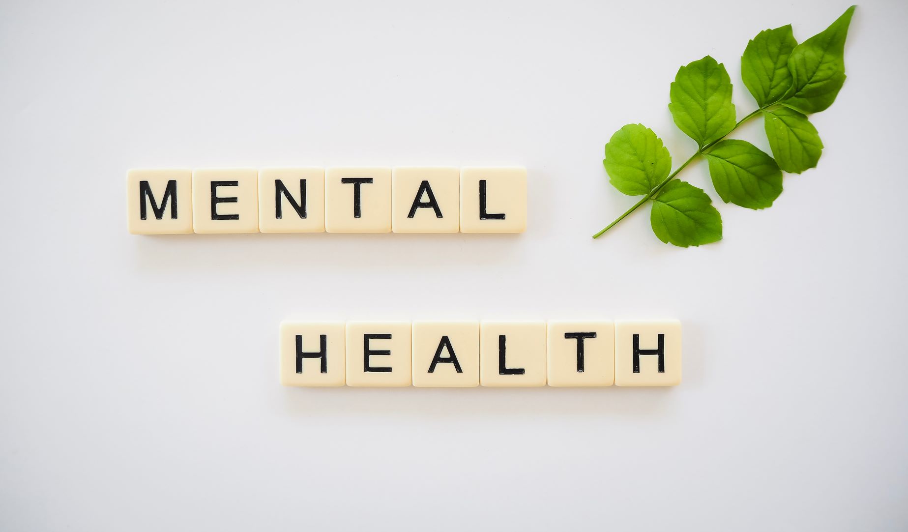 mental health on word blocks