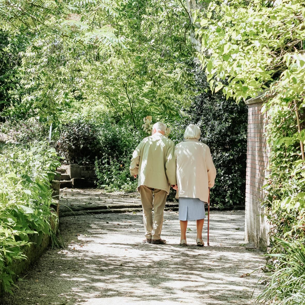 two older couples standing with trees surrounding them